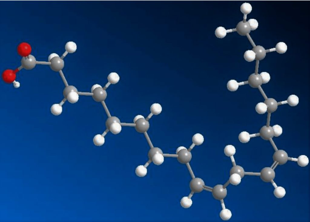Comment reconnaître une bonne huile d'avocat ? Cette structure en 3D de l'acide linoléique montre les 2 insaturations en oméga-6 et omega-9. 